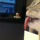 Illustration for article titled When Will This Shameful Act Of Licking Video Game Hardware Go Away?